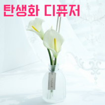 탄생화 디퓨저 선물 세트 10월 탄생화 카라 남자 친구 여자 친구 남사친 여사친 언니 선생님 직장동료 생일선물 집들이선물 결혼선물 실내 디퓨저 실내 방향제 디퓨져, 화이트머스크, 500ML