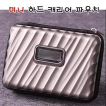 미니 하드 캐리어 파우치 여행용 여권 케이스