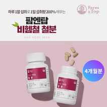 중년 노년 여성 남성 부모님 비헴철 철분 부족 증상 어지러움 어지러울때 도움 관리 에 좋은 먹는 비헴철 철분 건강 기능 영양제, 2BOX(4개월분)