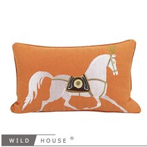 북유럽 수입 명품 거실 인테리어 쇼파 방석 큰 쿠션 직사각형 커버 카페 베게 가죽 세트 이케아 펜트하우스, 자수 주황색 30x50cm_베갯잇 + 고탄성 코어