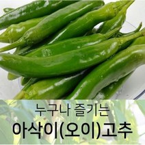누구나 즐기는 아삭이(오이)고추 상 10kg, 1박스
