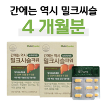 밀크씨슬 간에는 역시 밀크시슬 실리마린 에너지 활력 생성 충전 80대 요양원 할아버지 할머니 아버지 아빠 부모님 간케어 피로 피곤 피로감 피곤함 가장 주부 가사노동, 2박스, 900mg x 60정 (하루 1정)