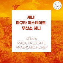 (커피생두) 56 케냐 마구타 이스테이트 무산소 허니 500g