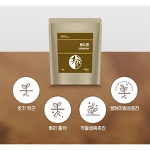 [우리농약농자재] 랜드콘입제(3kg)글로벌아그로 - 친환경 뿌리발근제 / 초기 착근 뿌리 활착 작물생육촉진 병해저항성증진, 1팩(3kg)