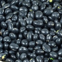 국산 서리태 2kg 속청 2022년산 햇곡 입고
