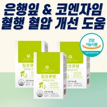 식약청 은행잎추출물 손발저림 다리 혈액순환제 여성 남성 직구 다리 떨림 징코 혈액순환개선제 혈행 뇌에 혈관에 좋은 영양제 부모님 실버 시니어 직수입 식약청 식약처 홈쇼핑 추천, 1개(2개월분)