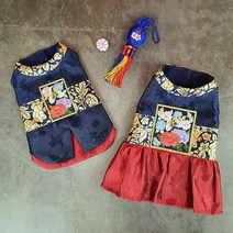 레드펫 반려동물 명절 건강이 한복, 여자