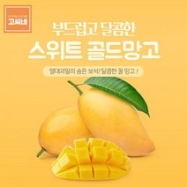 고씨네 특급 망고2kg 수입망고 망고종류 열대망고망고 제주애플망고 망고세일 페루애플망고 태국망고 제주망고 애플망고가격 제주도애플망고 필리핀망고 애플망고, 1개, 쿠팡 본상품선택