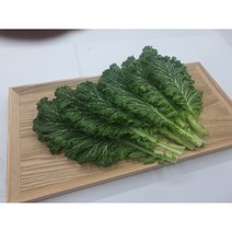 [특급] 청겨자 500g 1kg, 청겨자1kg, 1개