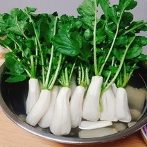 알타리무 절임10kg, 1개
