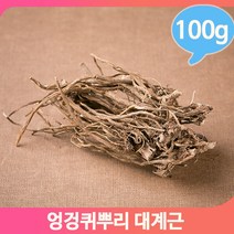 엉겅퀴 건조 뿌리 100g 국산 대계근 천연 입욕제 염료