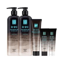[자연갈색] LG 리엔 물들임 새치커버 샴푸 450ml 자연갈색 2개 + 새치커버 트리트먼트 150ml 1개 + 새치커버 샴푸 80ml 2개, 단품