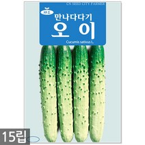 왜성적피 강낭콩 씨앗 30g - 콩씨 콩씨앗 씨 강낭콩씨 빨간강낭콩 붉은강낭콩씨앗 씨 강낭콩씨앗 주말농장 텃밭, 04_만나다다기오이(15립)