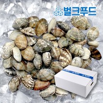 냉동 바지락 5kg 해감 업소용 조개 피바지락 칼국수, 1개