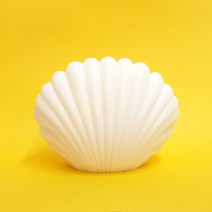 조개 가리비 디자인 오브제캔들 3D PC몰드 소이캔들 양초 만들기 DIY 재료, 조개 가리비 PC몰드+소이필라왁스 500g