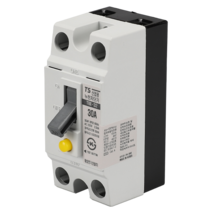 누전차단기 TBE 32(TCE 32H)태성/ 2P 30A 2.5KA, 1개