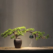 소나무 분재 피톤치드 로비 장식 소나무 재물운 원목, 풍화된 목재(그림과 같이), 1개