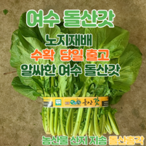 돌산총각 여수 생 돌산갓 노지재배 6kg 10kg 생갓, 돌산총각 돌산갓 10kg