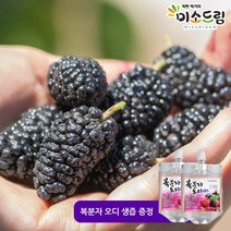 미소드림 전남 영광 제철 냉동 오디 생과 5kg 2022년 햇오디, 1박스