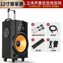 500W 12인치 야외공연 파워 무선 중저음포 블루투스 스피커, 블랙[무선마이크2개+리모컨+AUX선+충전기]