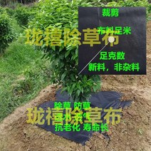 그물망 방초매트 농사용부직포 서리방지 흰색부직포 비닐하우스비닐 농사용 비닐하우스 보온덮개 제초매트 텃밭화분, 블랙 15 못 2000개