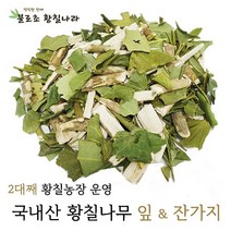 불로초황칠나라 황칠나무잎+가지, 1개, 500g