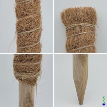 식물시간 나무 코코스틱 60cm 우드 스틱 수태봉 식물지지대