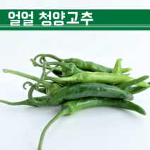 신선 얼얼 청양고추 500g 1kg 2kg 3kg 5kg 10kg