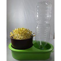 콩나물 집에서 키우기 기르기 재배기 자동급수 무동력 새싹보리 무순 3종풀세트 새순이