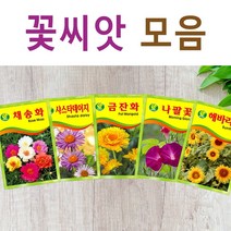 살아있는 꽃씨 야생화 키우기 다년생 채송화 다알리아 달맞이꽃 해바라기 맨드라미 봉선화 코스모스 메리골드 패랭이 접시꽃 사루비아 구절초 유채 백일홍 금잔화 꽃씨앗, S- 꽃씨-접시꽃 x 2개, 1개