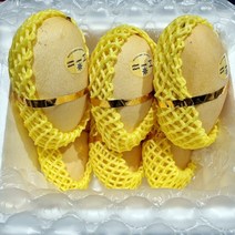 태국 Nam Dok Mai 골드 망고 2kg 태국직배송