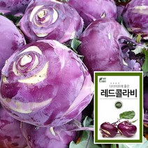 마이플랜트 레드 콜라비 300립 채소 과일 씨앗 베란다 텃밭 가꾸기