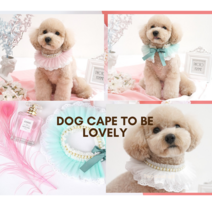 강아지 케이프 진주 러블리 레이스 강아지 반려동물 고양이 엘레강스 목걸이 넥 스카프 강아지레이스케이프 강아지진주케이프 강아지스카프 고양이케이프 강아지턱받이 애견케이프 반려견케이프, one size, 블루