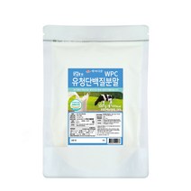 백세식품 미국산 유청 단백질분말, 1개, 500g