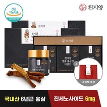[천지양] 명품 홍삼정 마일드 (100g x 3병) x2세트 +쇼핑백, 상세 설명 참조, 상세 설명 참조