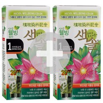 2개 색솔 웰빙 칼라 크림 옻타지 않는 염색약 70g 새치염색 염모제, 02. 2호(자연갈색), 01. 1호(자연흑갈색)