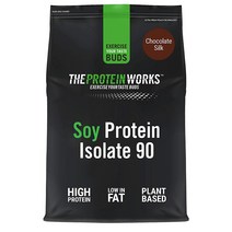 THE PROTEIN WORKS 더 프로테인 웍스 소이 콩 분리 유청 단백질 프로틴 90 파우더 가루 초콜릿 실크 500g, 1세트