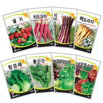 상추 씨앗 채소 씨앗 쌈채소 모듬상추 베란다 텃밭 열매 채소 약초 씨앗 희귀 씨앗 모음, 03_민속채소, 30_세계곤달비(1g)
