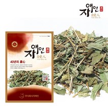 자애인 국산 삼백초 1200g 청성초 경북영주, 단품
