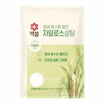 CJ 식자재 단짠단짠 백설 하얀 자일로스 설탕 2kg 요리레시피, 20개