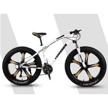 광폭자전거 성인용 MTB 산악용 바이크 광폭 타이어, 레드 7단 24인치