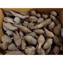 국산 야콘 즙용 생식용 특품 5Kg 10Kg, 즙용 10kg (부러짐, 갈라짐 있음)