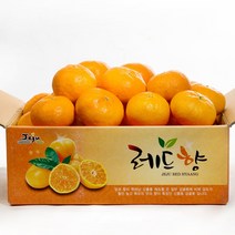 알동네 제주 레드향 2kg 3kg 5kg 중과 로얄과 소과 가정용 선물세트, 1박스, 레드향2.5kg소과(16과내외)벌크포장