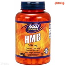 나우푸드 스포츠 HMB 500 mg 120개입 베지캡슐, 120정, 1