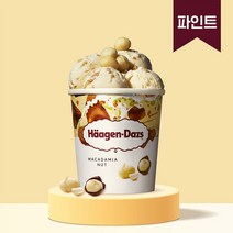 하겐다즈 아이스크림 파인트 마카다미아넛X2개, 단품