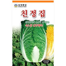친정집 배추 씨앗 김장 가을 종자 채소 씨 1000알