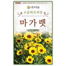 다농 호로파 1g - 향낭초 라벤더향두 허브 허브씨 허브씨앗 씨 씨앗 호로파씨앗 호로파씨 꽃씨 꽃씨앗 호놈파 fenugreek, 11_다농_마가렛(1g)