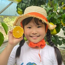 [후기보장] 제주 서귀포 햇 황금향! 꿀당도 가정용/선물용 추석선물세트, 1박스, 황금향5kg 로얄과(가정용)