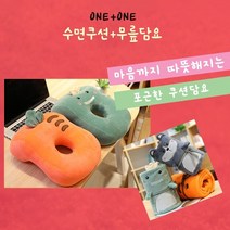 프리툴바 등받이쿠션 쿠션, 당근(쿠션+담요)