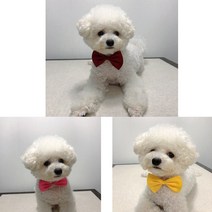 볼독 강아지 리본 고양이 기타액세서리, 1개, 스카이블루